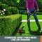 Worx Power Share 20V Trimmer and Blower Combo Kit, Battery and Charger Included WG916 - alternate 9